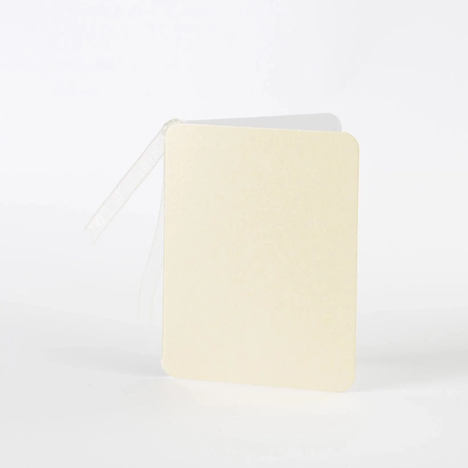Luxury Pearl Magnolia Cream Gift Tags (25)