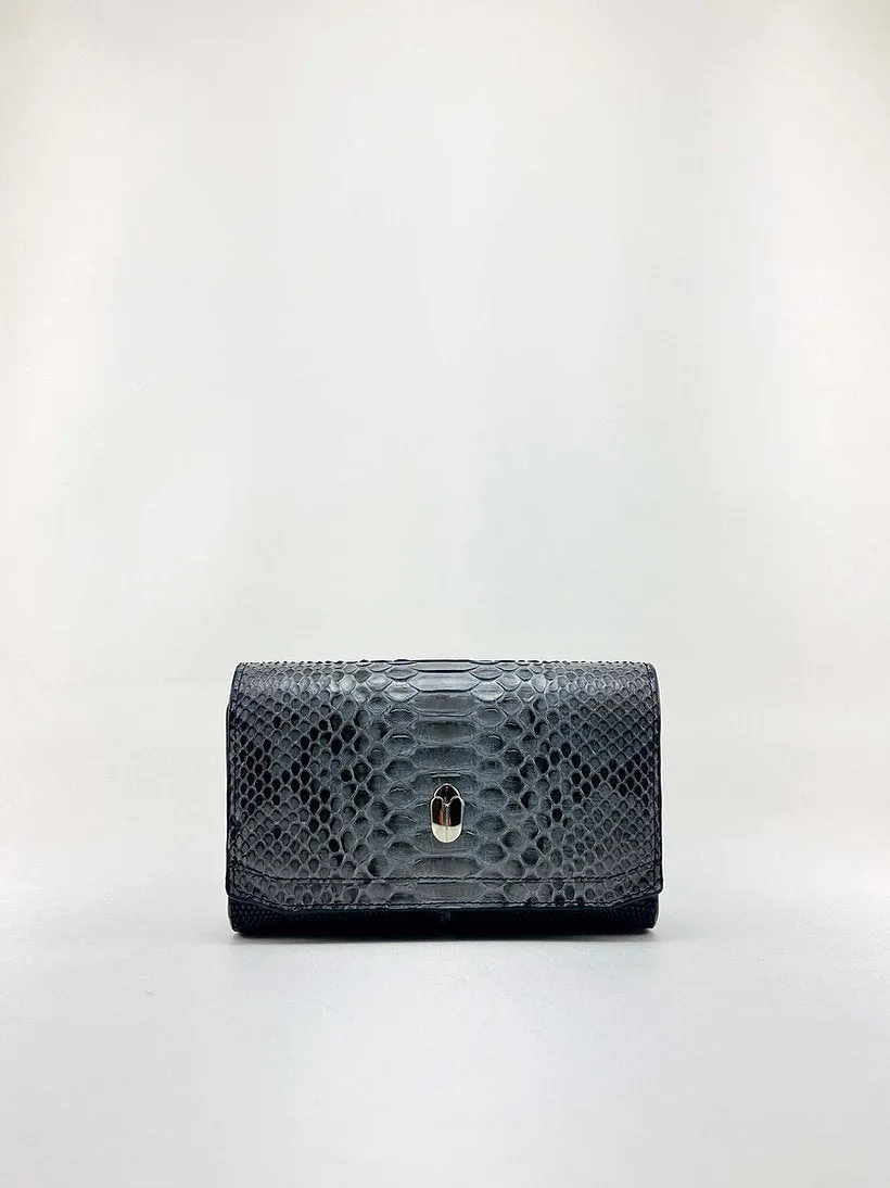 Nano Snakeskin & Lizard Clutch Bag